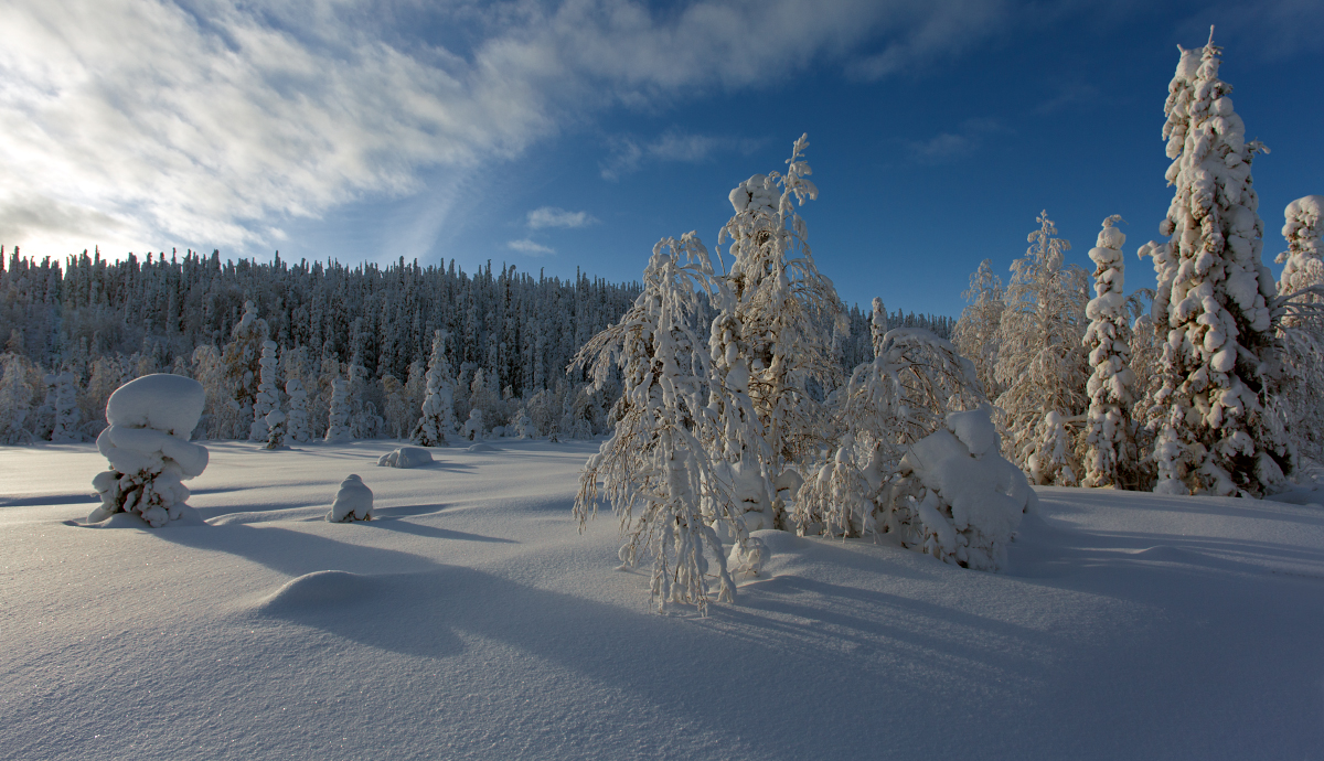 Talvemaastik Soomes