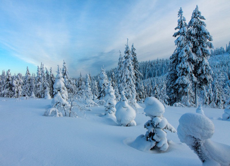 Talvemaastik Soomes